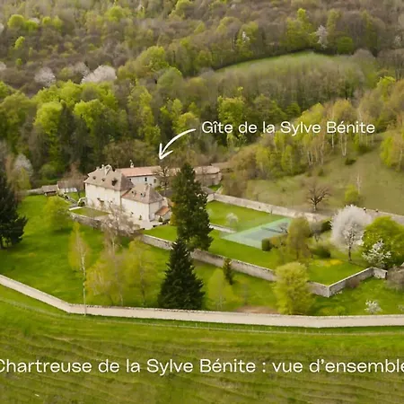 Chartreuse De La Sylve Benite Large Capacity Character *